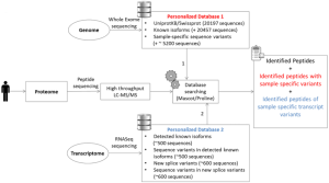 Integrative multi-OMICS analyses unveil STAT1 as a potential modifier gene in mevalonate kinase deficiency